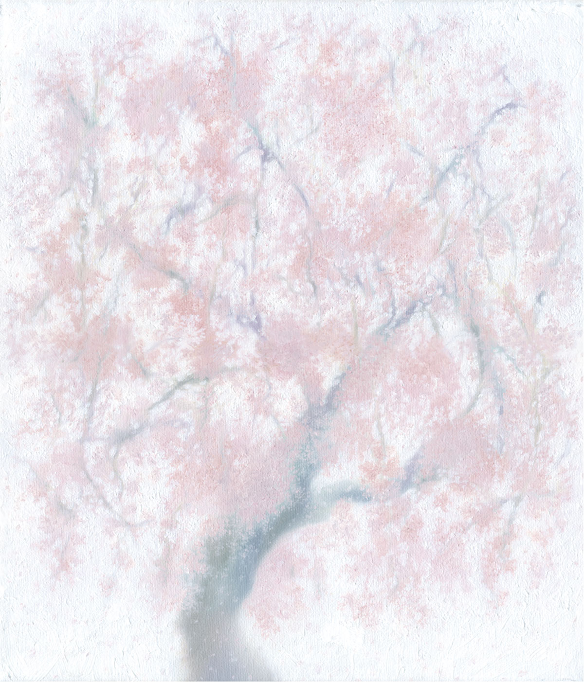 桜の木